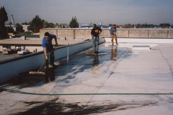 Commercial Roofs Cleaned