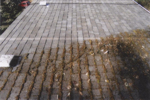 Composition Roof Moss Removal