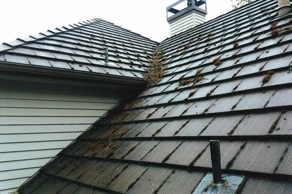 Composition Roof Cleaning